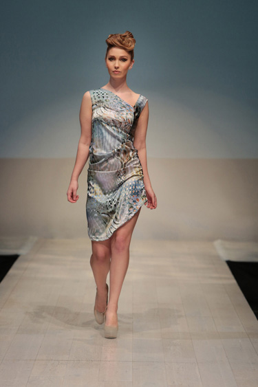 fw2013 Image