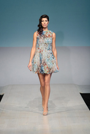 ss2013 Image